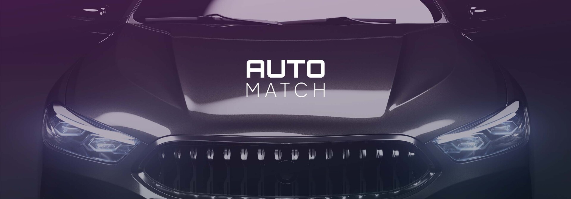 Auto Match - dealer's application